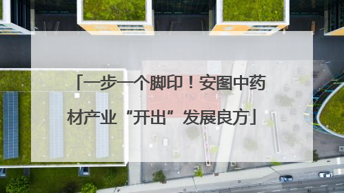 一步一个脚印！安图中药材产业“开出”发展良方