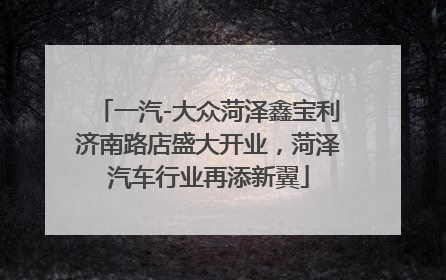 一汽-大众菏泽鑫宝利济南路店盛大开业，菏泽汽车行业再添新翼