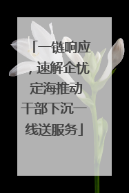 一链响应，速解企忧 定海推动干部下沉一线送服务