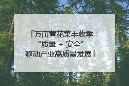 万亩黄花菜丰收季：“质量 + 安全” 驱动产业高质量发展