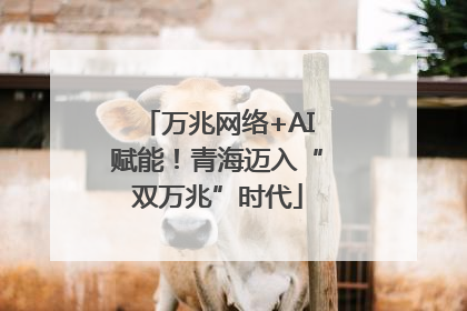 万兆网络+AI赋能！青海迈入“双万兆”时代
