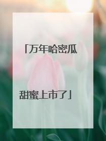 万年哈密瓜甜蜜上市了