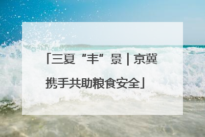 三夏“丰”景｜京冀携手共助粮食安全