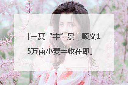 三夏“丰”景｜顺义15万亩小麦丰收在即