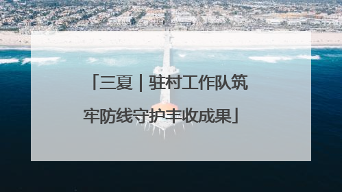 三夏｜驻村工作队筑牢防线守护丰收成果