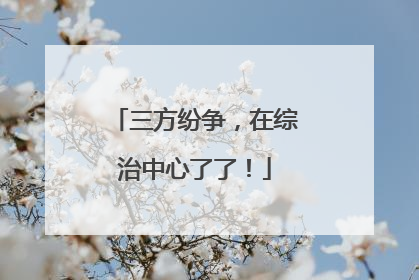 三方纷争，在综治中心了了！