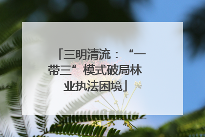 三明清流：“一带三”模式破局林业执法困境