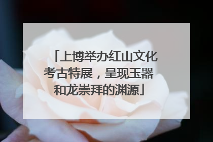 上博举办红山文化考古特展，呈现玉器和龙崇拜的渊源