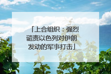 上合组织：强烈谴责以色列对伊朗发动的军事打击