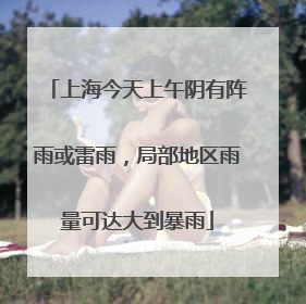 上海今天上午阴有阵雨或雷雨，局部地区雨量可达大到暴雨