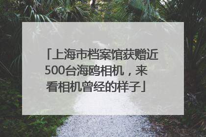 上海市档案馆获赠近500台海鸥相机，来看相机曾经的样子