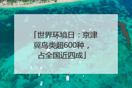 世界环境日：京津冀鸟类超600种，占全国近四成