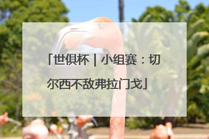 世俱杯｜小组赛：切尔西不敌弗拉门戈