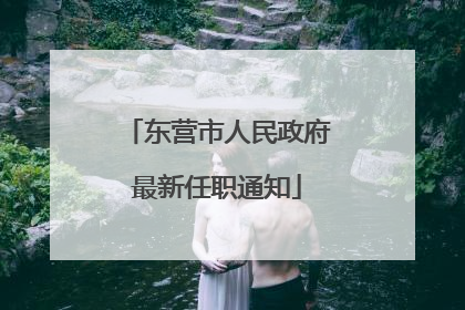 东营市人民政府最新任职通知