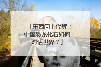 东西问丨代辉：中国恐龙化石如何对话世界？