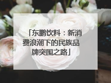 东鹏饮料：新消费浪潮下的民族品牌突围之路