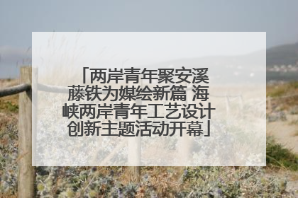 两岸青年聚安溪 藤铁为媒绘新篇 海峡两岸青年工艺设计创新主题活动开幕