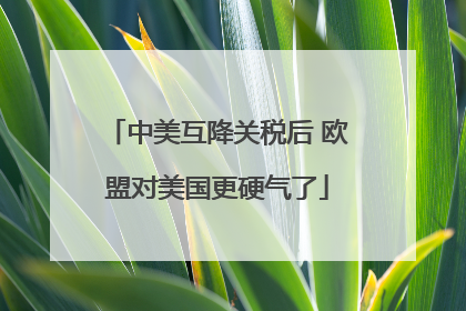 中美互降关税后 欧盟对美国更硬气了