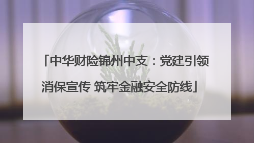 中华财险锦州中支：党建引领消保宣传 筑牢金融安全防线