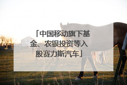 中国移动旗下基金、农银投资等入股赛力斯汽车