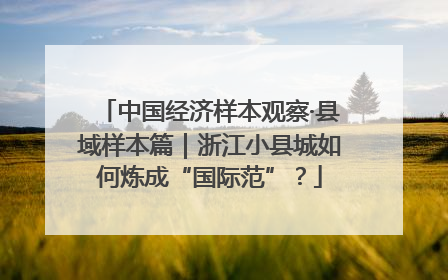 中国经济样本观察·县域样本篇｜浙江小县城如何炼成“国际范”？