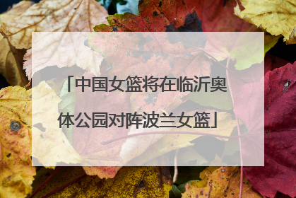 中国女篮将在临沂奥体公园对阵波兰女篮