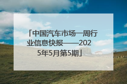 中国汽车市场一周行业信息快报——2025年5月第5期