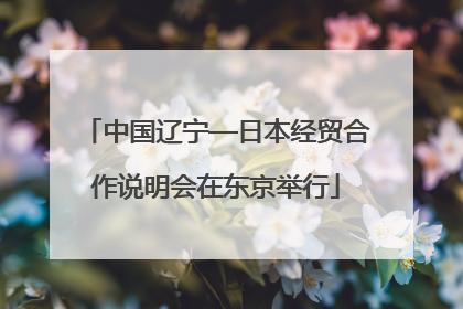 中国辽宁—日本经贸合作说明会在东京举行