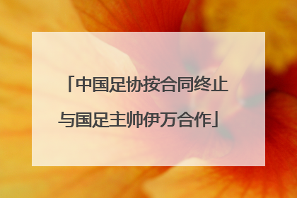 中国足协按合同终止与国足主帅伊万合作
