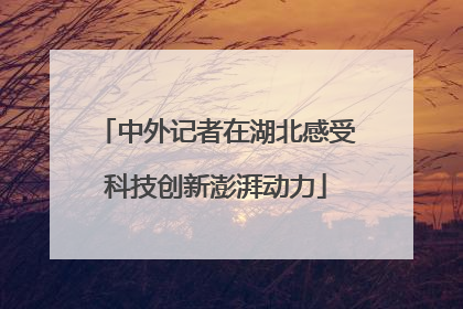 中外记者在湖北感受科技创新澎湃动力