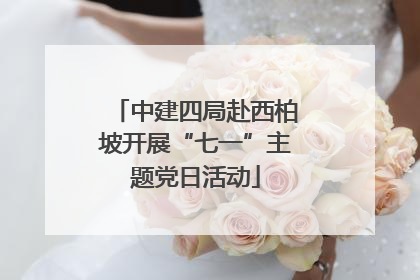 中建四局赴西柏坡开展“七一”主题党日活动