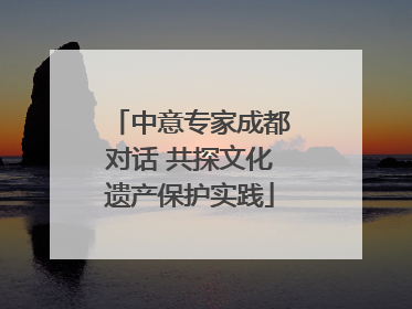 中意专家成都对话 共探文化遗产保护实践