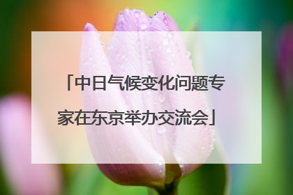 中日气候变化问题专家在东京举办交流会