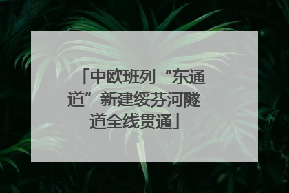 中欧班列“东通道”新建绥芬河隧道全线贯通