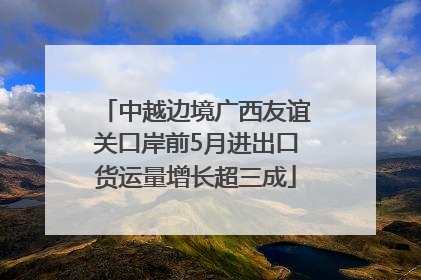 中越边境广西友谊关口岸前5月进出口货运量增长超三成