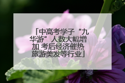 中高考学子“九华游”人数大幅增加 考后经济催热旅游美发等行业