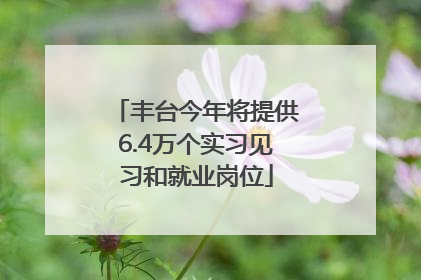 丰台今年将提供6.4万个实习见习和就业岗位