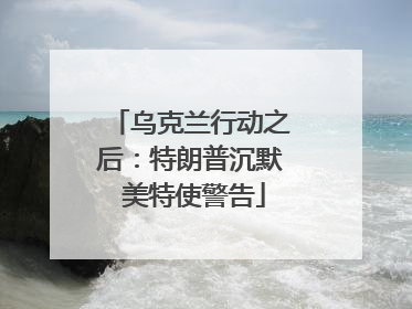 乌克兰行动之后：特朗普沉默 美特使警告