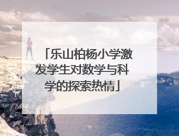 乐山柏杨小学激发学生对数学与科学的探索热情