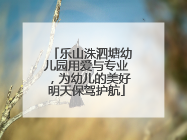 乐山洙泗塘幼儿园用爱与专业，为幼儿的美好明天保驾护航