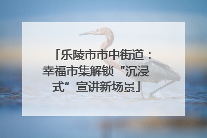 乐陵市市中街道：幸福市集解锁“沉浸式”宣讲新场景