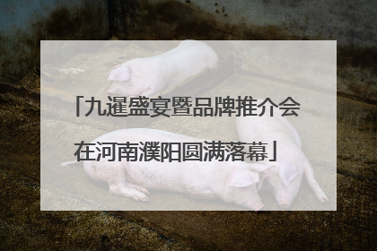 九暹盛宴暨品牌推介会在河南濮阳圆满落幕