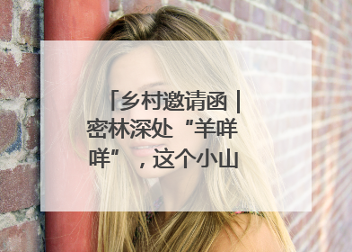 乡村邀请函｜密林深处“羊咩咩”，这个小山村如何逆袭？