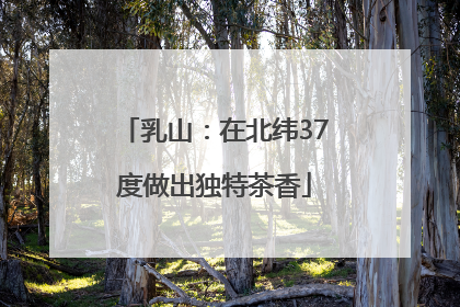 乳山：在北纬37度做出独特茶香