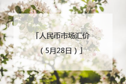人民币市场汇价（5月28日）