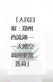 人民日报：郑州西流湖——天然空调房里赏莲荷
