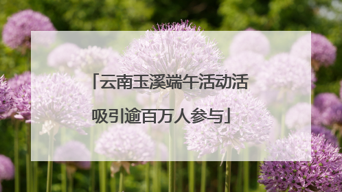 云南玉溪端午活动活吸引逾百万人参与