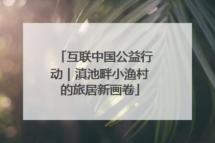 互联中国公益行动｜滇池畔小渔村的旅居新画卷