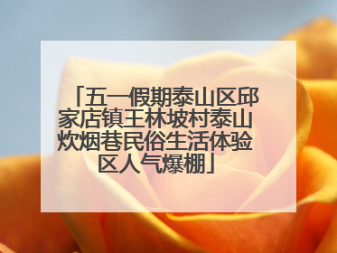 五一假期泰山区邱家店镇王林坡村泰山炊烟巷民俗生活体验区人气爆棚
