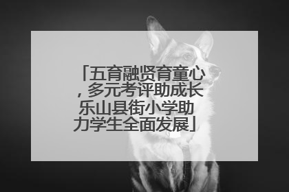 五育融贤育童心，多元考评助成长 乐山县街小学助力学生全面发展